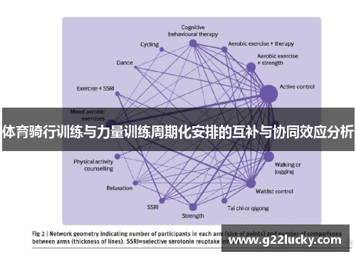 体育骑行训练与力量训练周期化安排的互补与协同效应分析