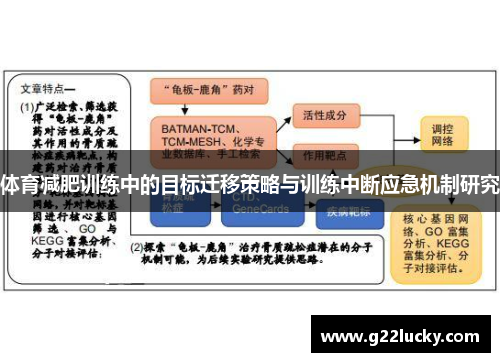 体育减肥训练中的目标迁移策略与训练中断应急机制研究