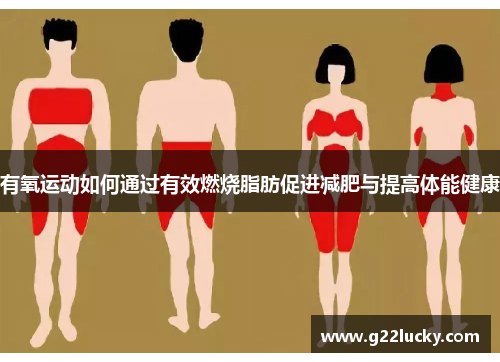 有氧运动如何通过有效燃烧脂肪促进减肥与提高体能健康